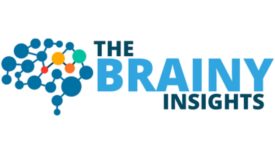 The Brainy Insights Logo