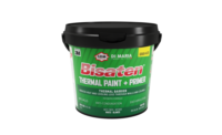 bisaten paint.png